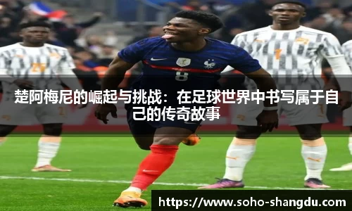 BB贝博ballbet登录人口